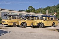 Unsere Busflotte