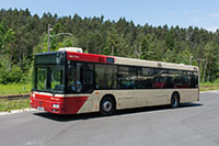 Bus 53 - MAN